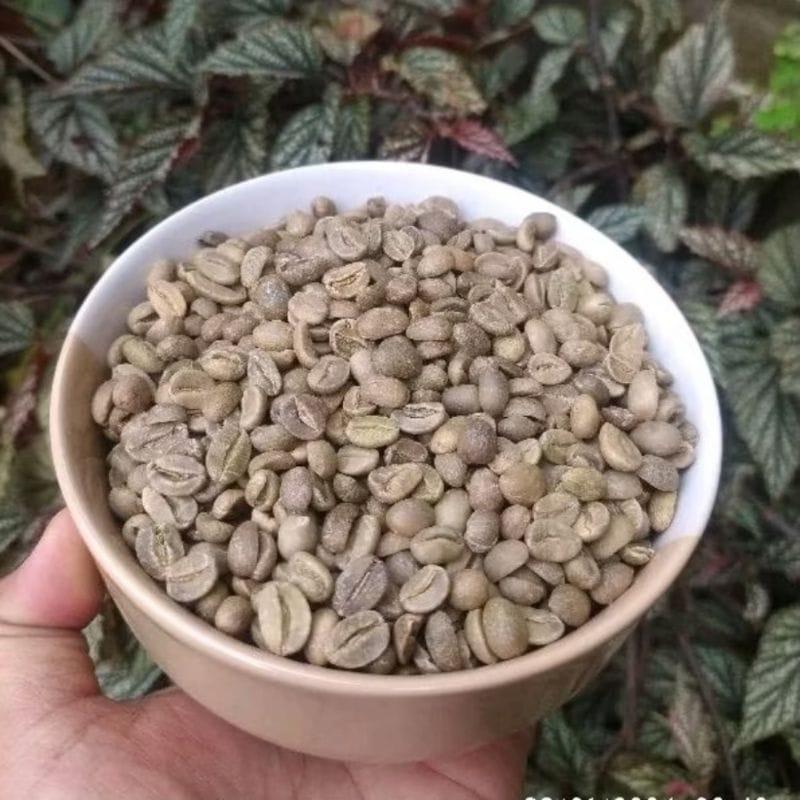 Arabica Kawi Mountain